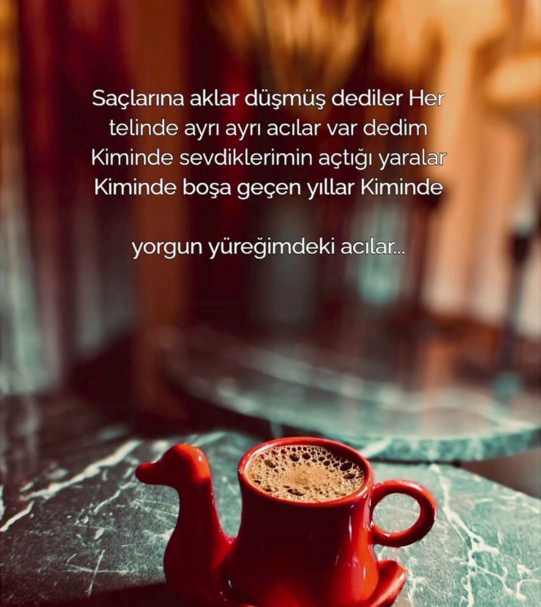 ahmet poyraz (@ayvalik_1080) on Twitter photo 