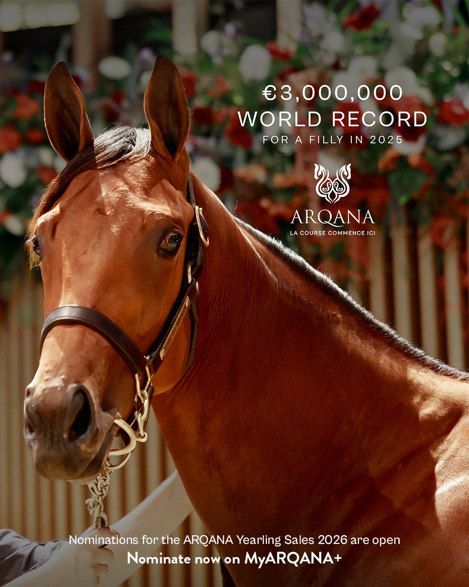 ARQANA tweet media