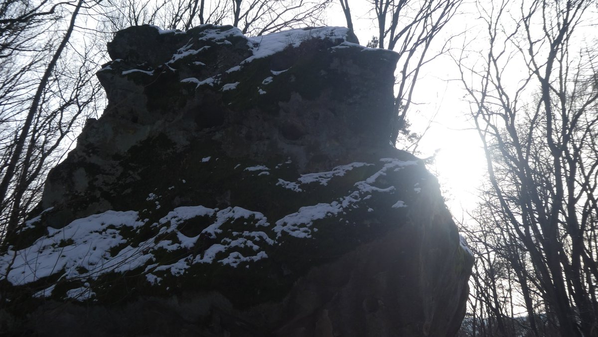 IceView_Nine's tweet image. Few #photo from my trip. Part 11            

Little walk on a #trail from my trip week ago.                    

Share, like and comment.          
Follow for more.          
Thank you for visiting.                    

#nature #forest #photography