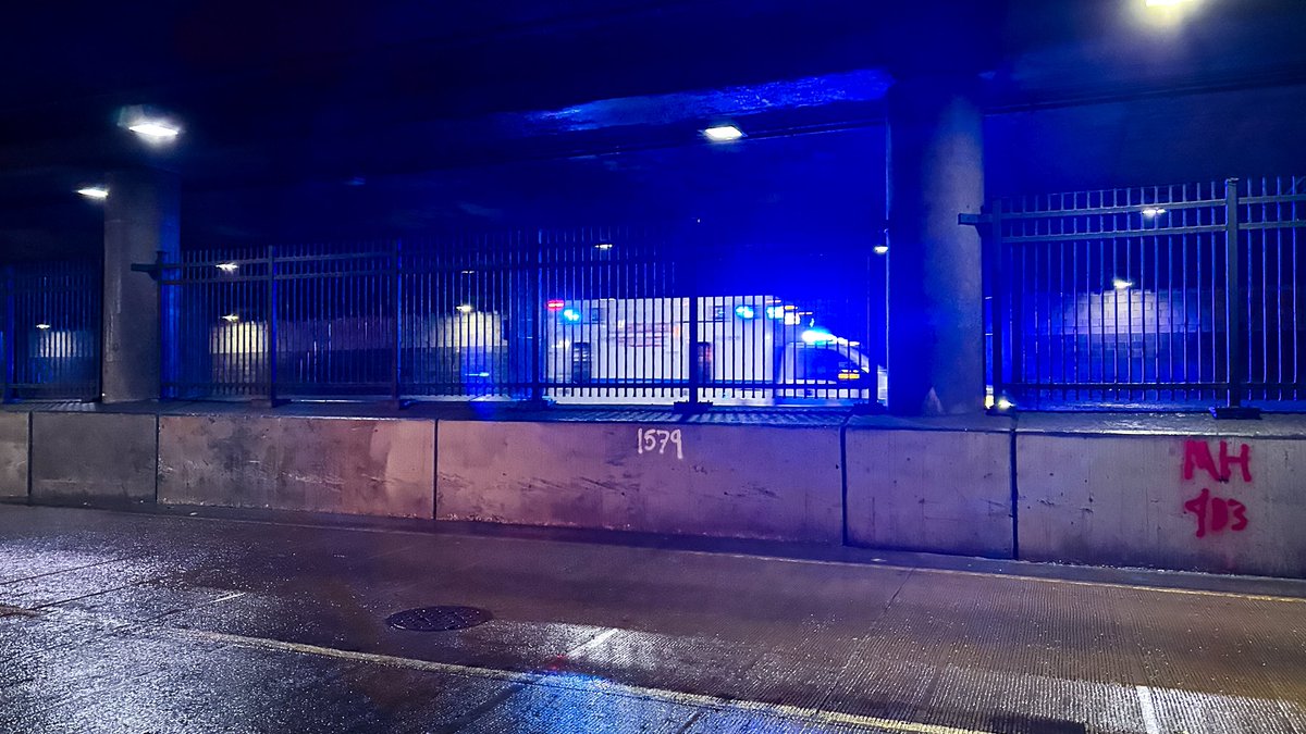 gabriel x. michael tweet media