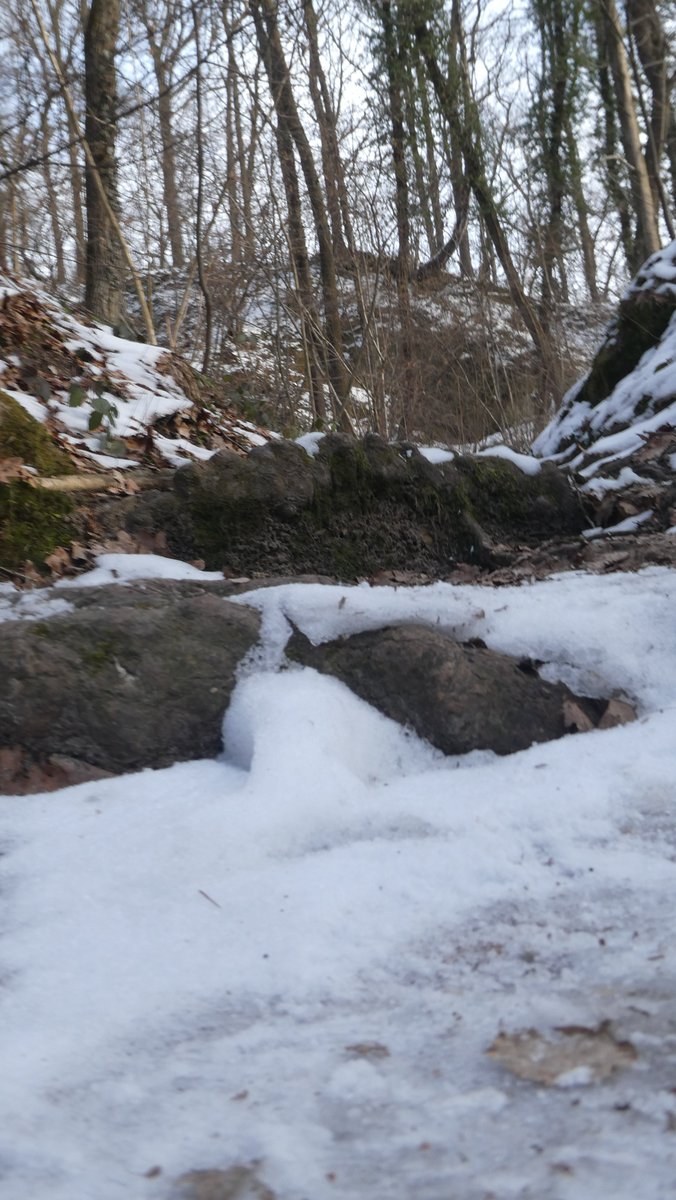 IceView_Nine's tweet image. Few #photo from my trip. Part 11            

Little walk on a #trail from my trip week ago.                    

Share, like and comment.          
Follow for more.          
Thank you for visiting.                    

#nature #forest #photography