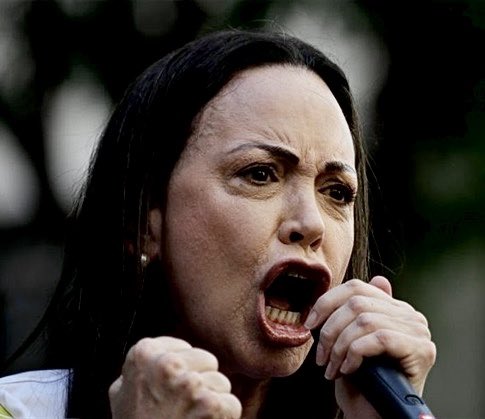 Roger Stone tweet media