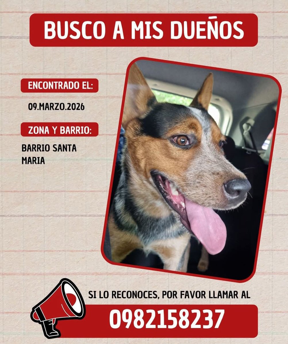 MiravalPy tweet media