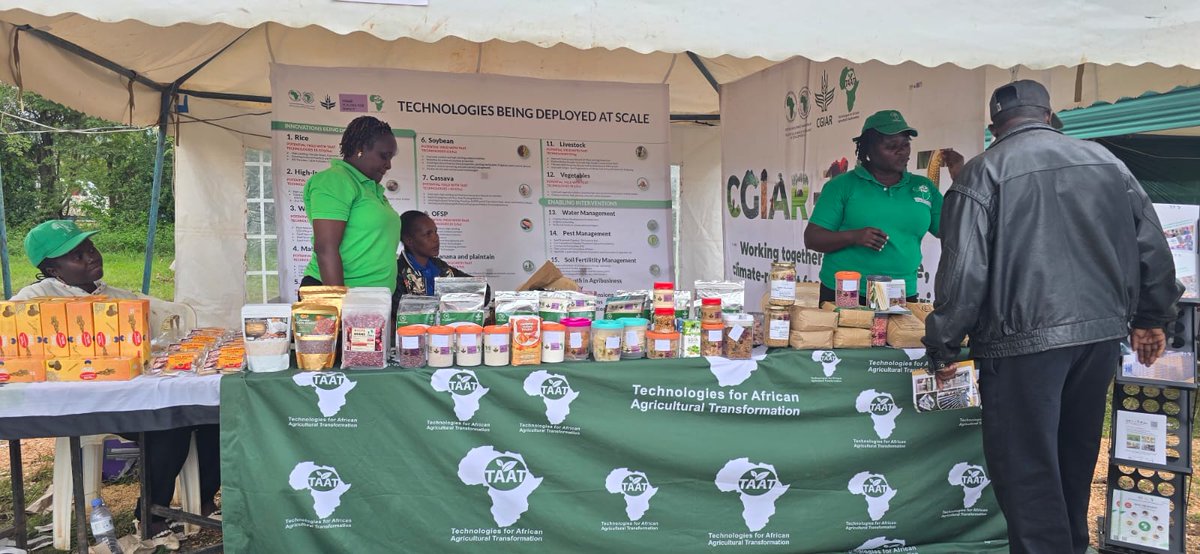 Taat_Africa's tweet photo. 🚀 Scaling Innovation & Youth Excellence at the #MachakosTradeExpo! 

With 300+ exhibitors, #TAAT showcased technologies transforming agriculture through #TAATSoybean & #ENABLETAATYouth (@IITA_CGIAR ). Proud to highlight 3 youth-led #SMEs thriving in #SeedBusiness, #Processing & #Marketing for #Soybean, #HighIronBeans, #Sorghum, #Millet #OFSP & #Maize. 🌟

A major focus? Policy reform. Dr Eric Rutto (@kenya_chamberI) highlighted the need to reduce regulatory burdens to make #AgriBusiness truly competitive.

🌍💪Let's simplify the path to #FeedAfrica! 

Read the full update here: 🔗https://t.co/B4ODaemehg

#TAATinKenya #ScienceOfScaling #YouthInAgri #PolicyChange #FoodSecurity #AgriBusiness #EngageTAAT to #ScaleImpact and #FeedAfrica

@AfDB_Group @gatesfoundation @GatesAfrica
@CGIAR @CGIARScaling @IITAYOUTHAGRIP  @isdb_group @giz_gmbh @ADB_HQ @kalromkulima @KilimoNews @ATO_Kenya @Trade_Kenya