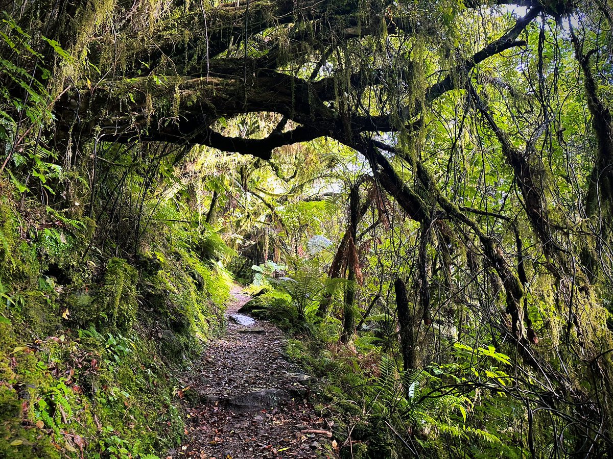 Kevin Palmer tweet media