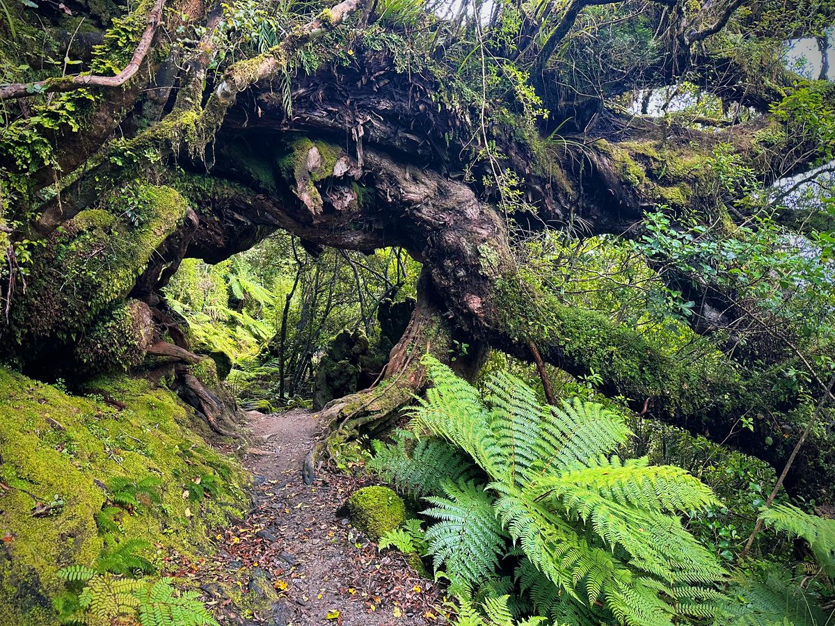 Kevin Palmer tweet media