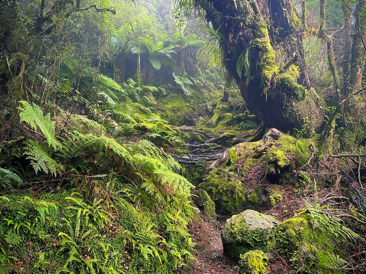 Kevin Palmer tweet media