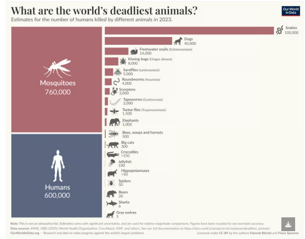 marco.giacobbe tweet media