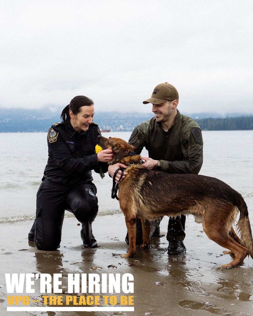 VPD Recruiting tweet media