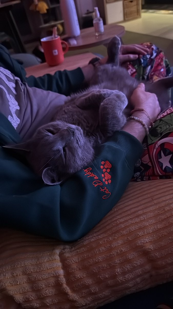 plnozdmr's tweet photo. Cat daddy… 🫠 @BachadirT https://t.co/4yptLs7VIH