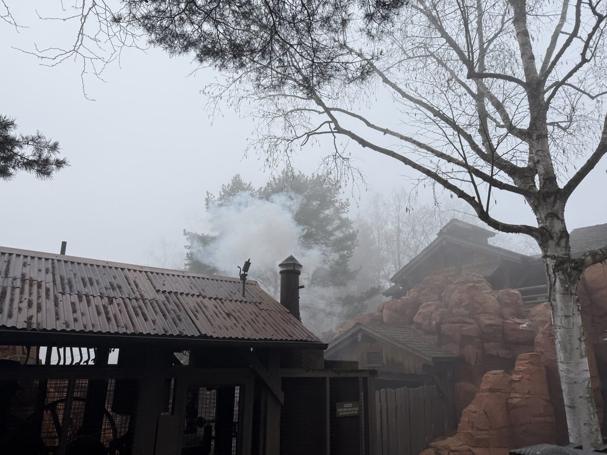 Mimi ⋆˚𝜗𝜚˚⋆ tweet media