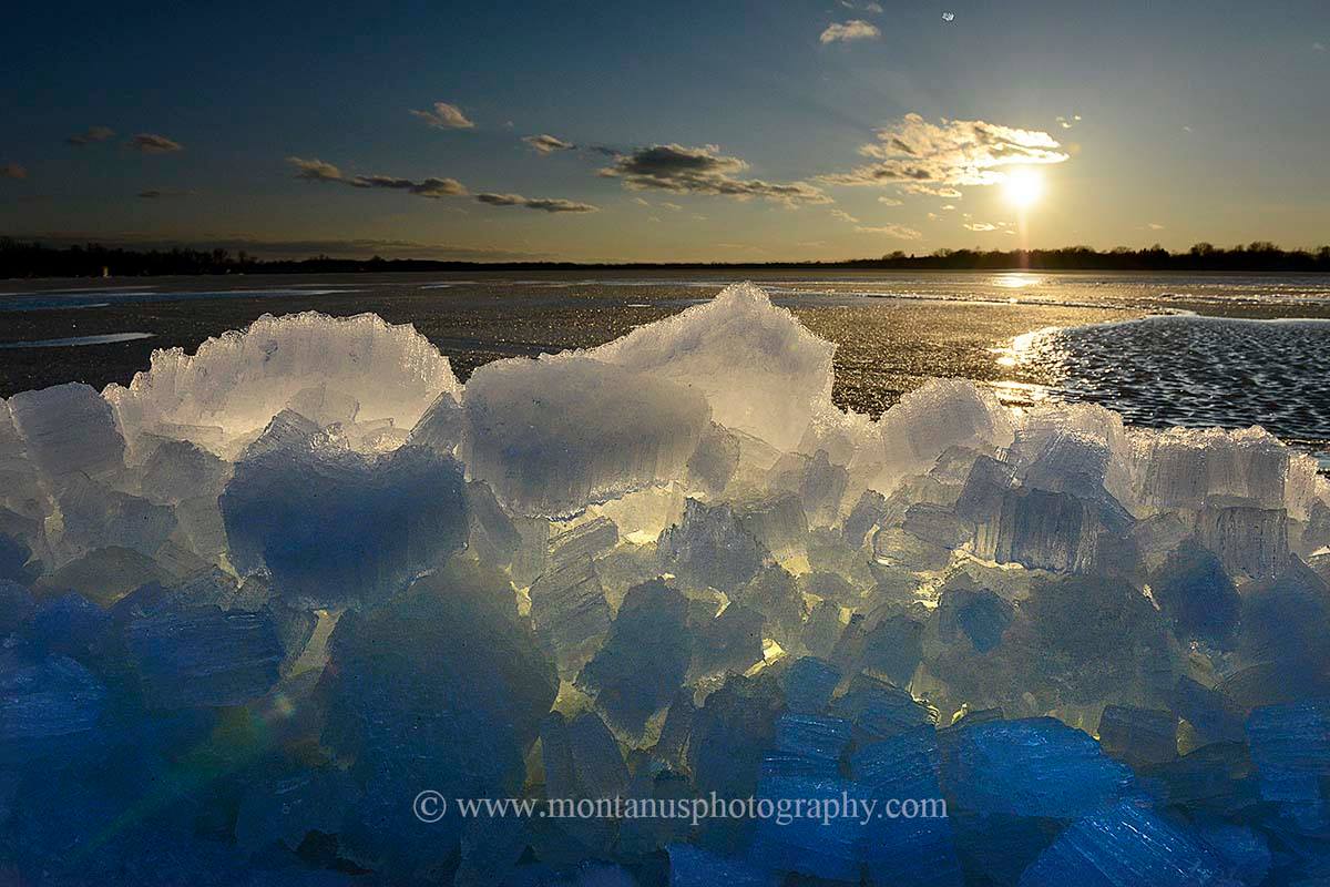 James Montanus tweet media