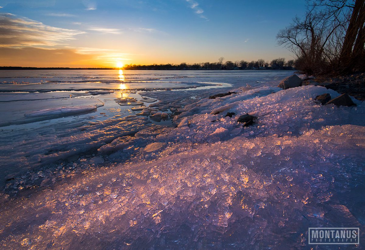 James Montanus tweet media