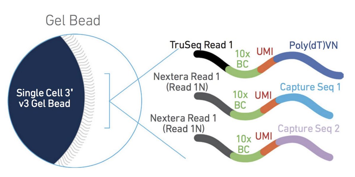 Gennady Gorin tweet media