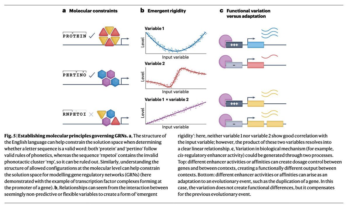 Stephen Turner 🦋 @stephenturner.us tweet media
