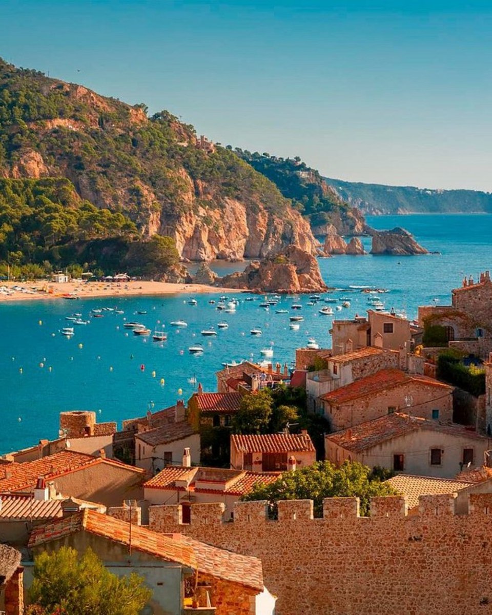 Tripadvisor tweet media