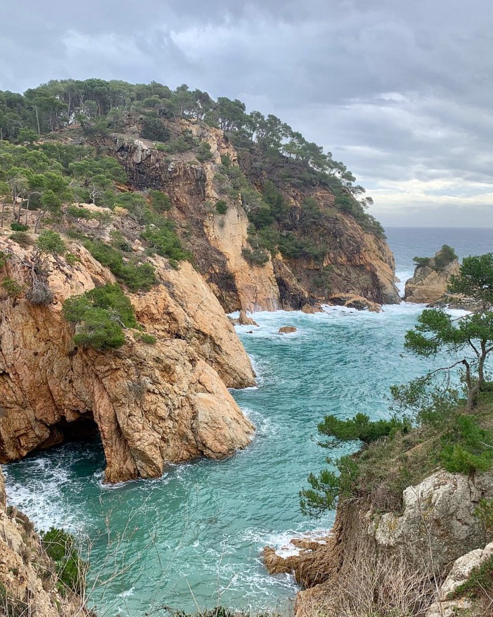 Tripadvisor tweet media