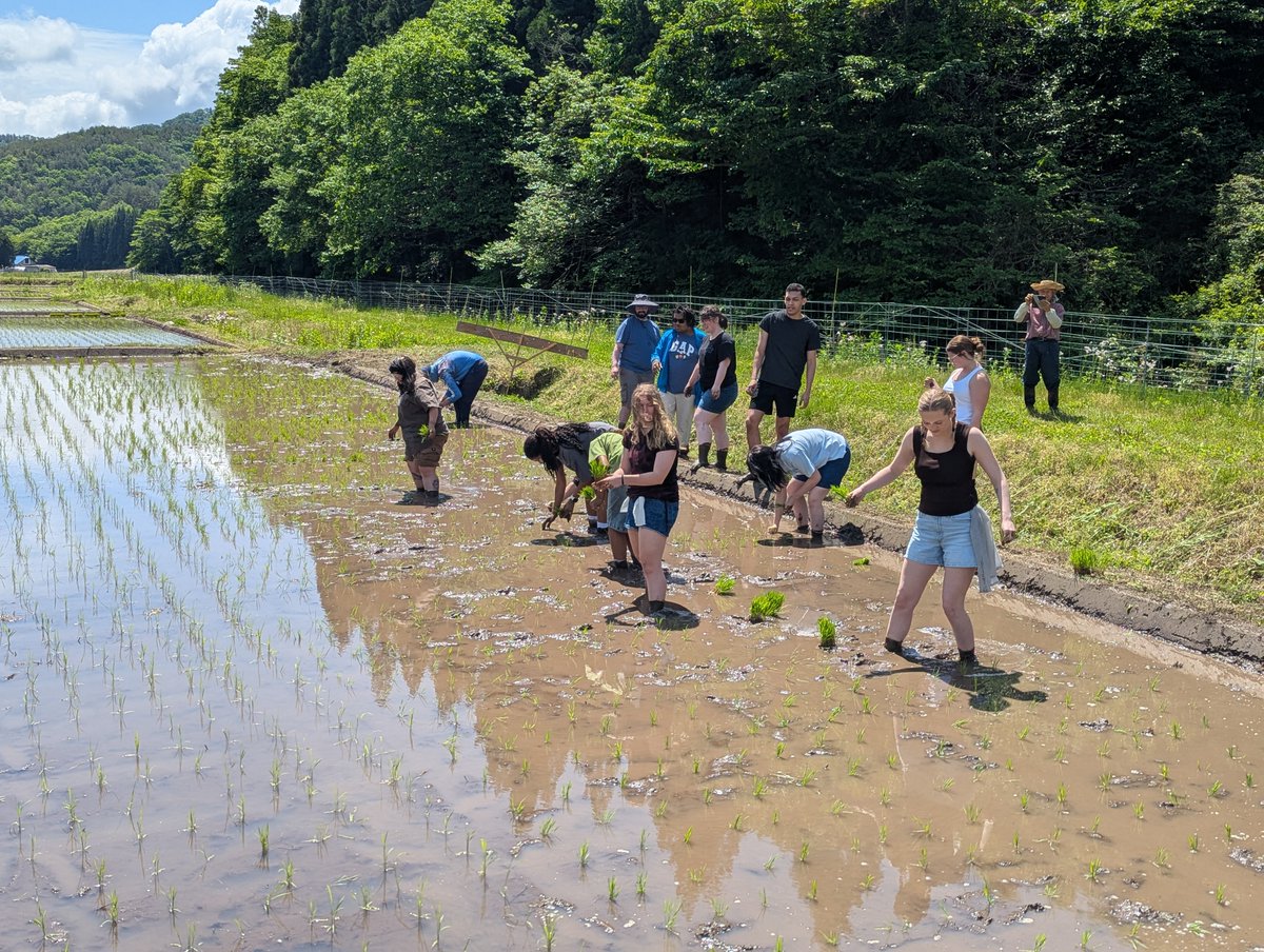 Kennesaw State University tweet media