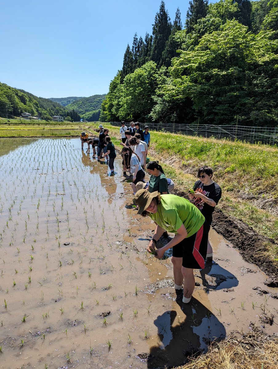 Kennesaw State University tweet media
