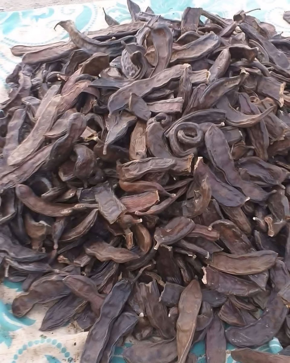 الحياة tweet media