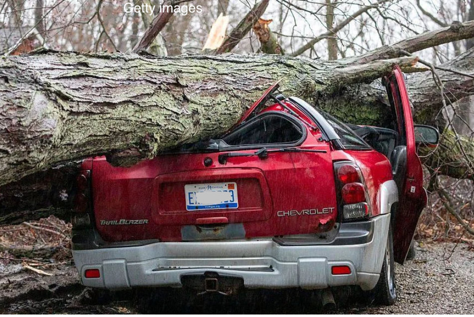 Rain Viewer tweet media