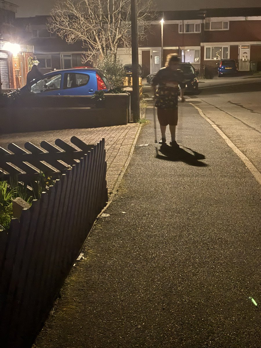 Lizzi 🦁 tweet media