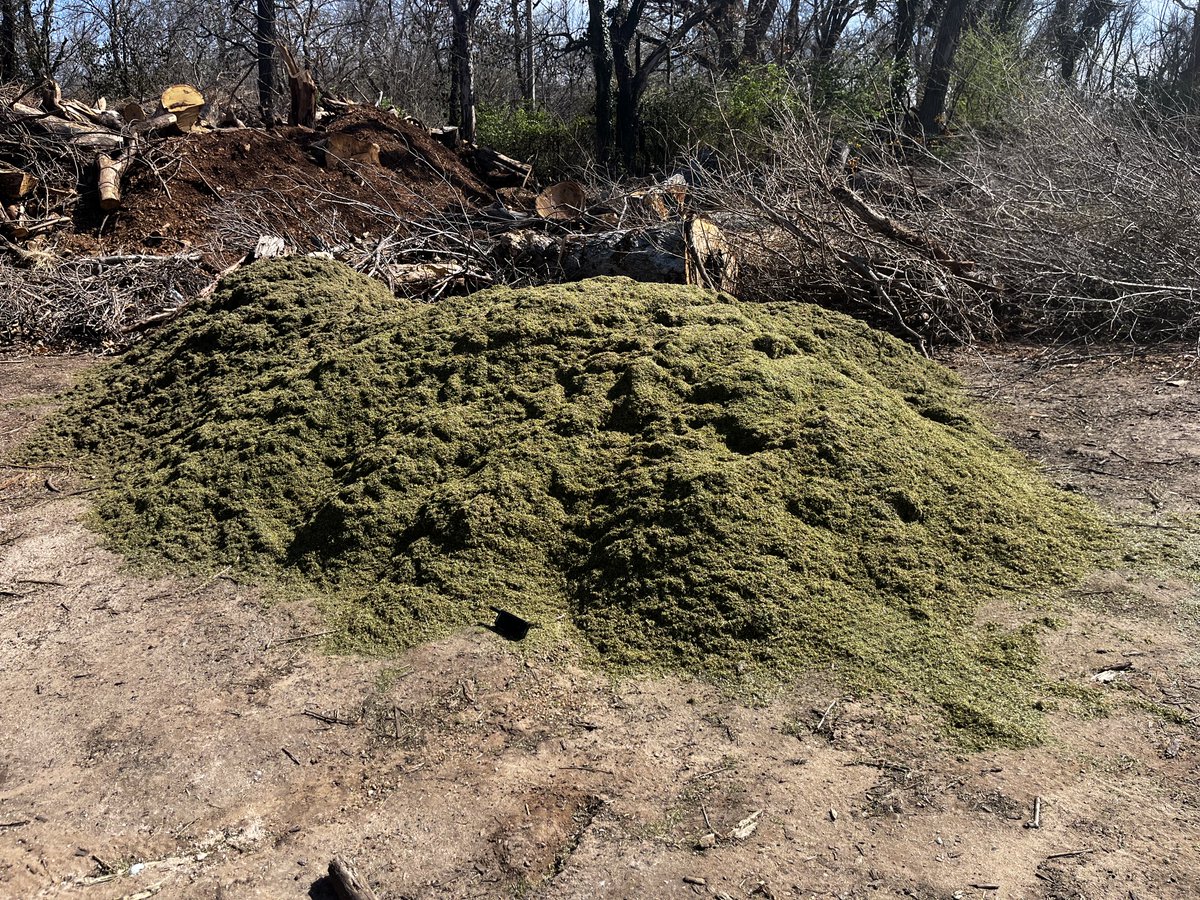 Daniel Mills tweet media