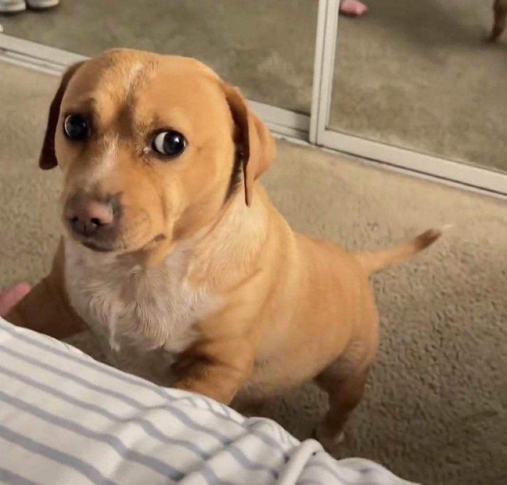 thalezin tweet media