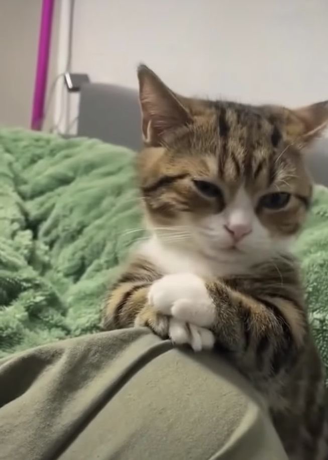 twaniimals's tweet photo. https://t.co/ncw0fKmiHv
