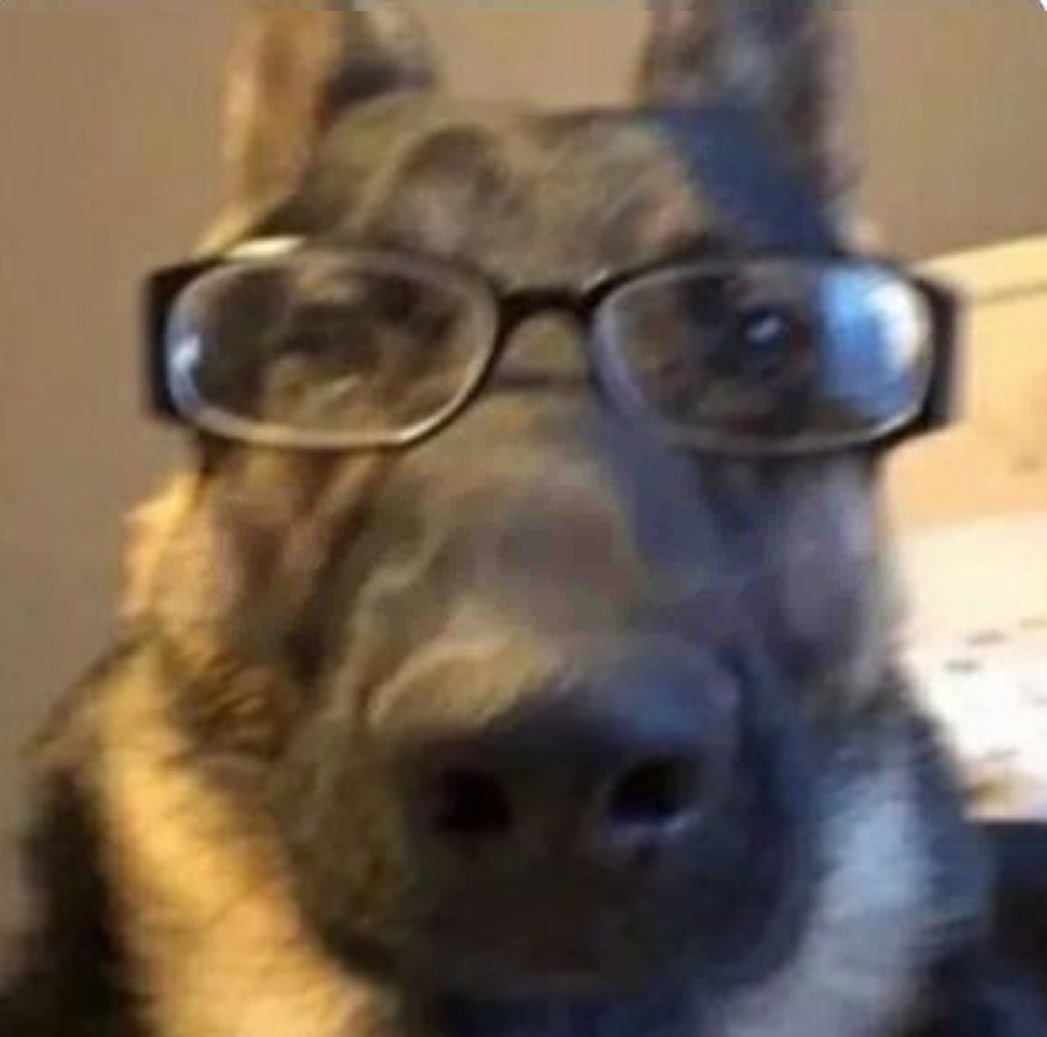 🎷🐛Lena tweet media