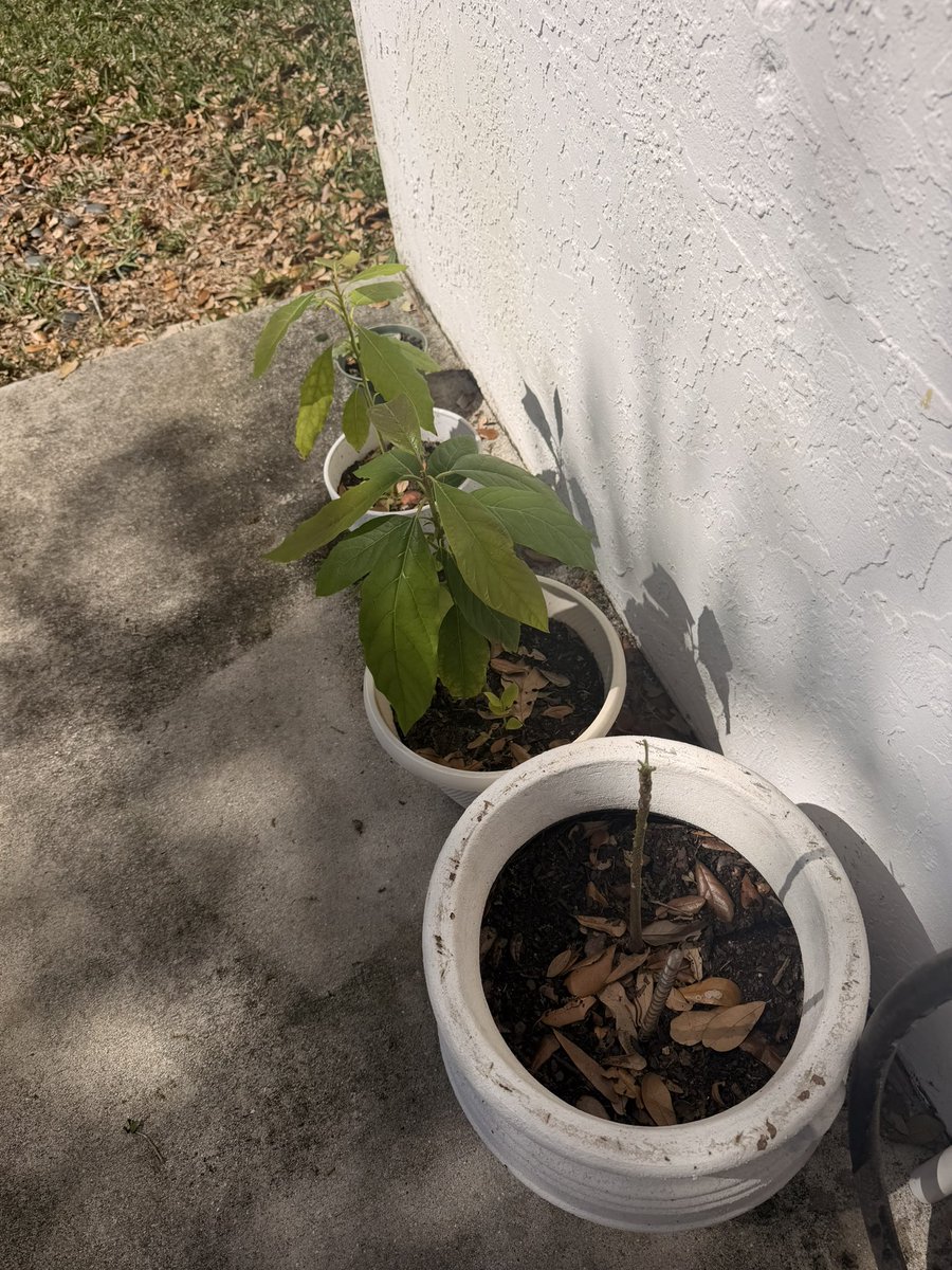 Rich Minuski tweet media