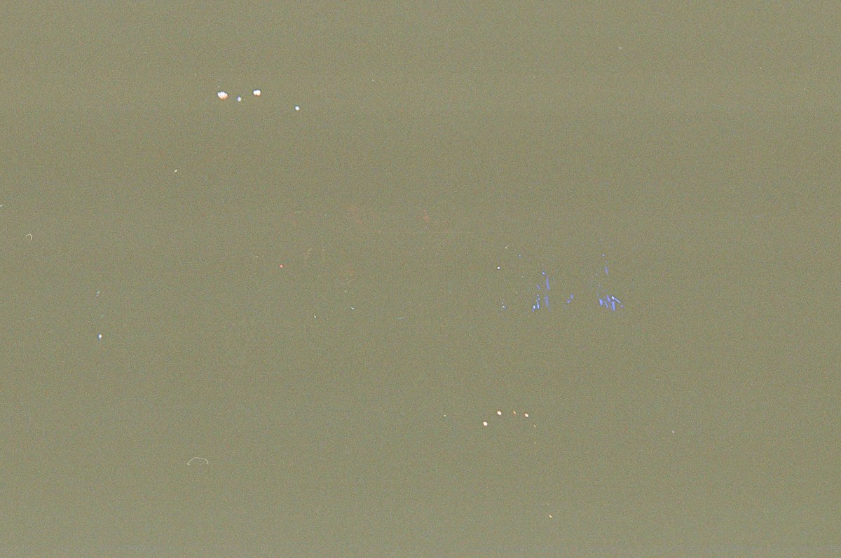 lau ⭐️ tweet media