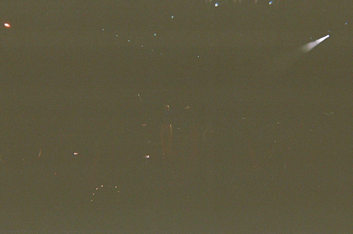 lau ⭐️ tweet media