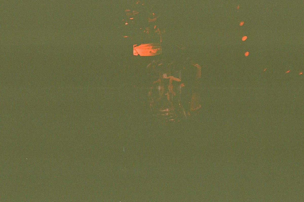 lau ⭐️ tweet media