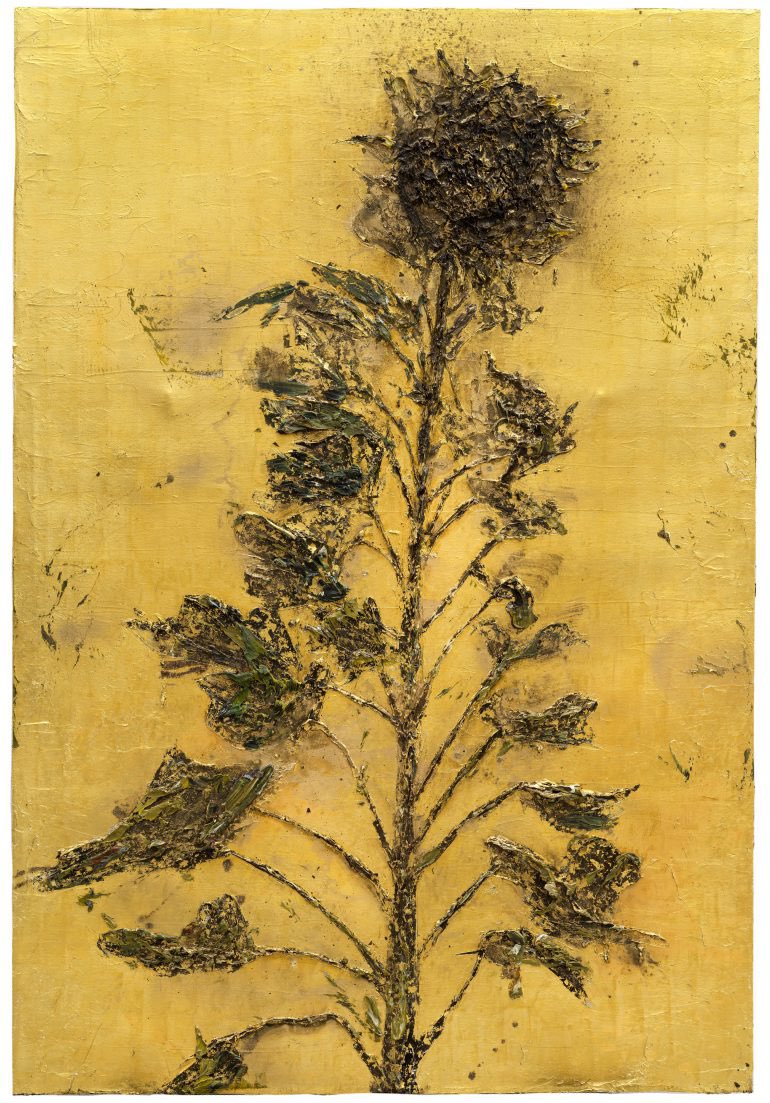 stefano_pesce's tweet image. Anselm Kiefer
Sunflower
2023
#Kiefer #Sunflower #VirtualCollection26
