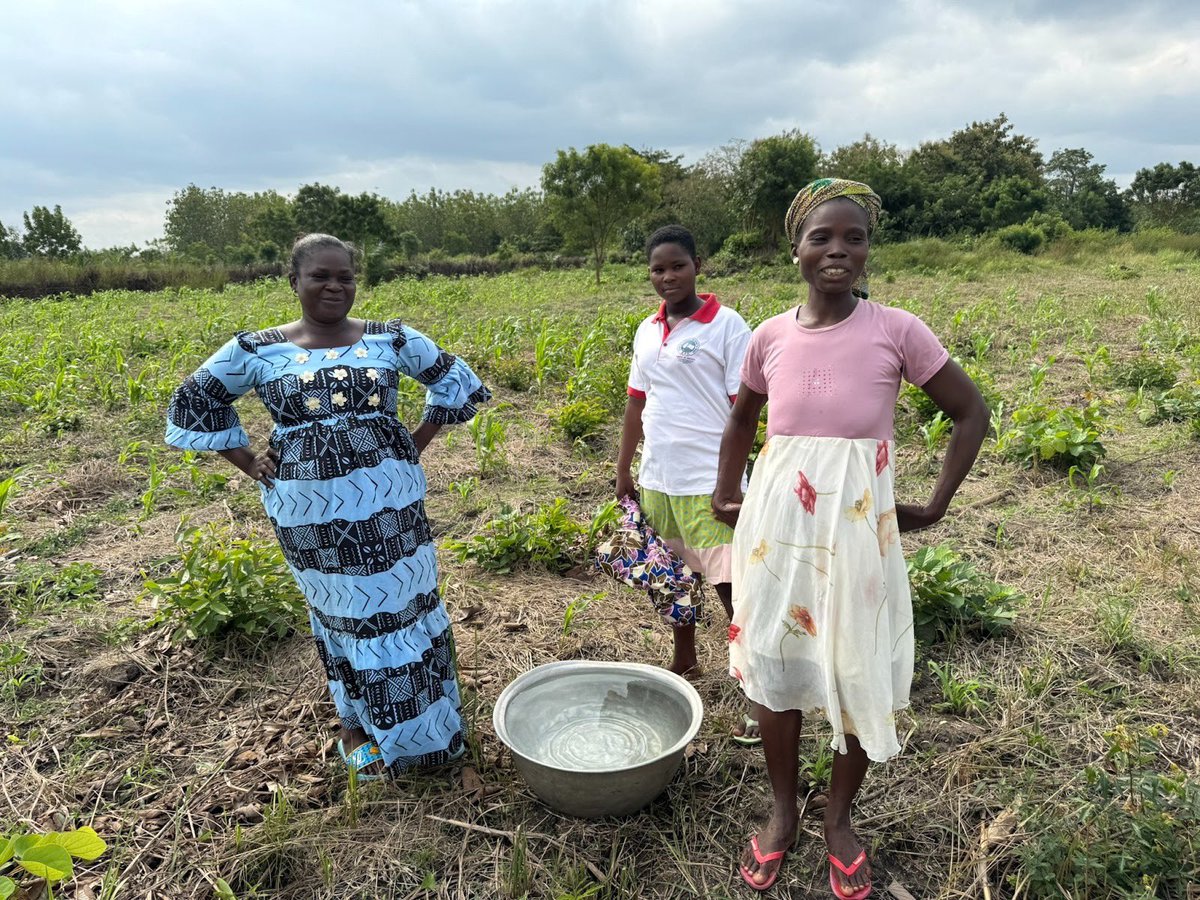 Impact Stream tweet media