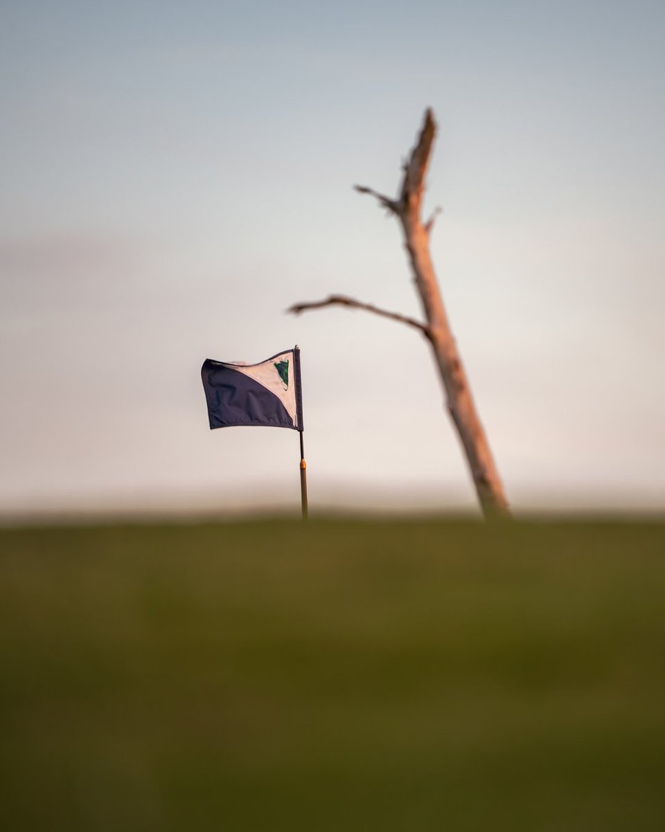 Play OBX Golf tweet media