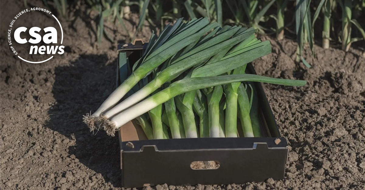 Agronomy, Crop, and Soil Science Societies tweet media