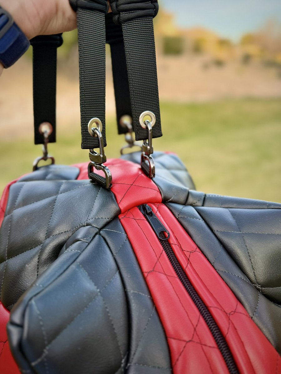 All Bark No Bite! tweet media