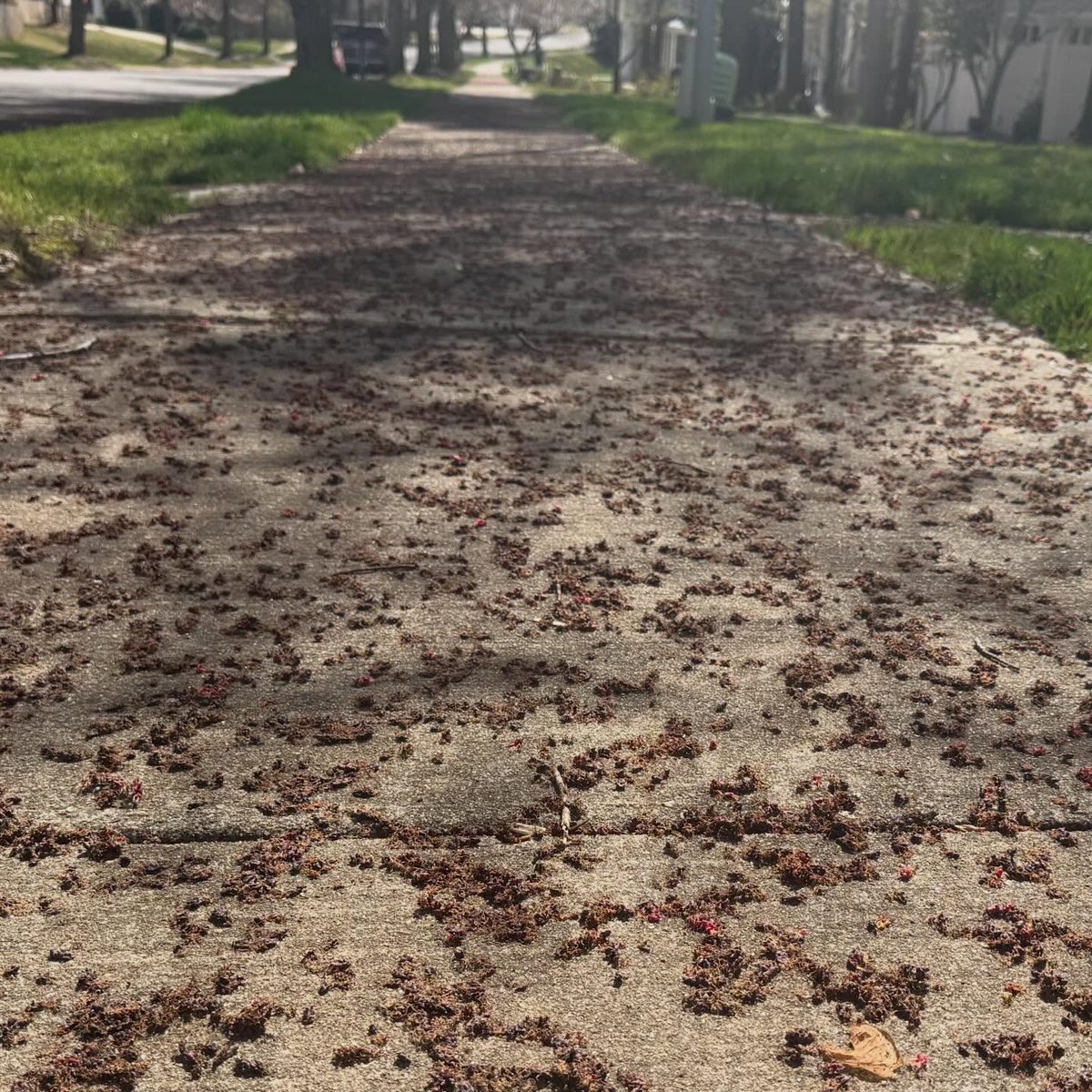 𝘿𝙤𝙣⚡𝙎𝙘𝙝𝙬𝙚𝙣𝙣𝙚𝙠𝙚𝙧 tweet media