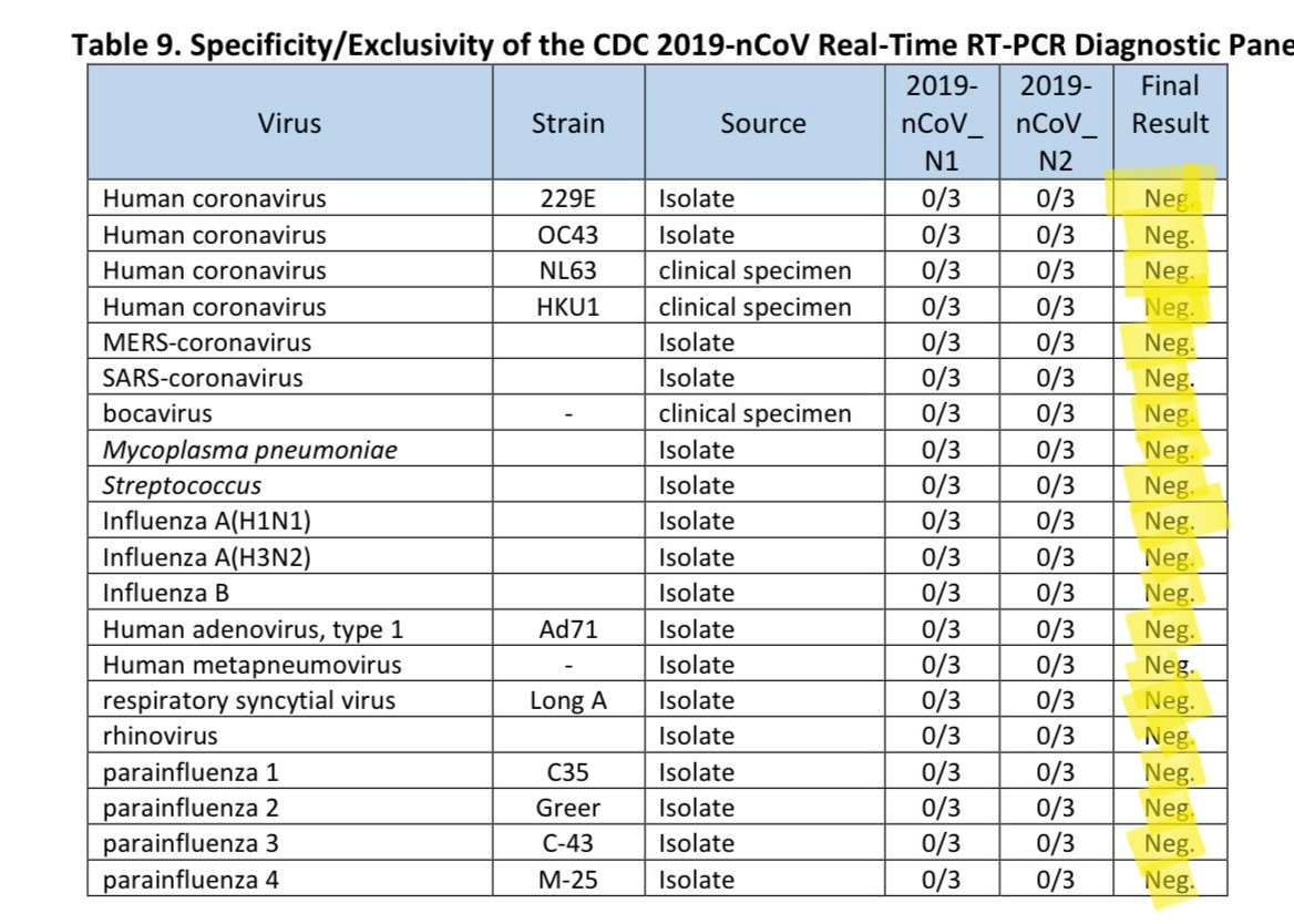 No Such Thing as Too Many Cycles 🐭🌸 tweet media