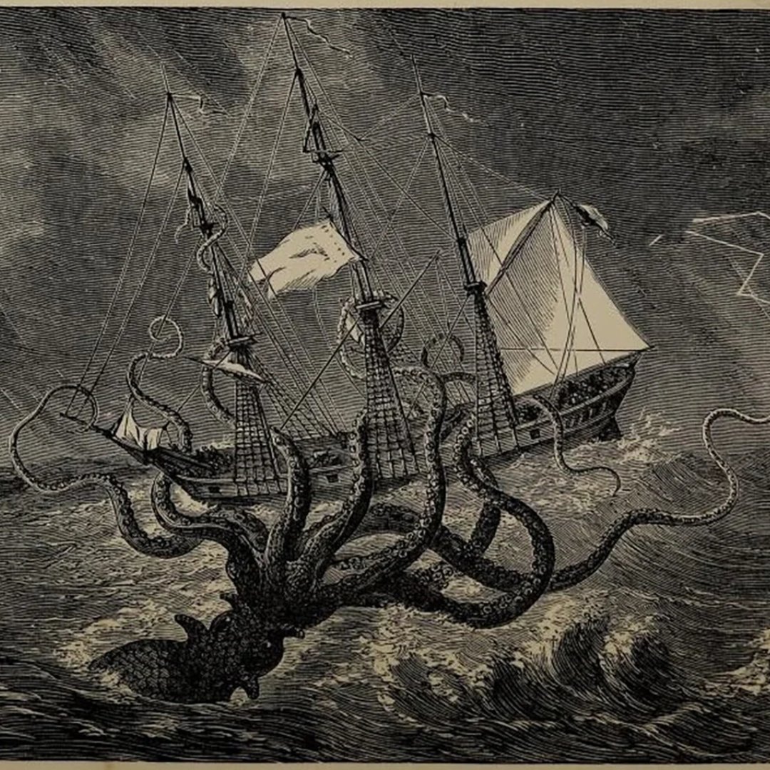 Calvin Ayre tweet media