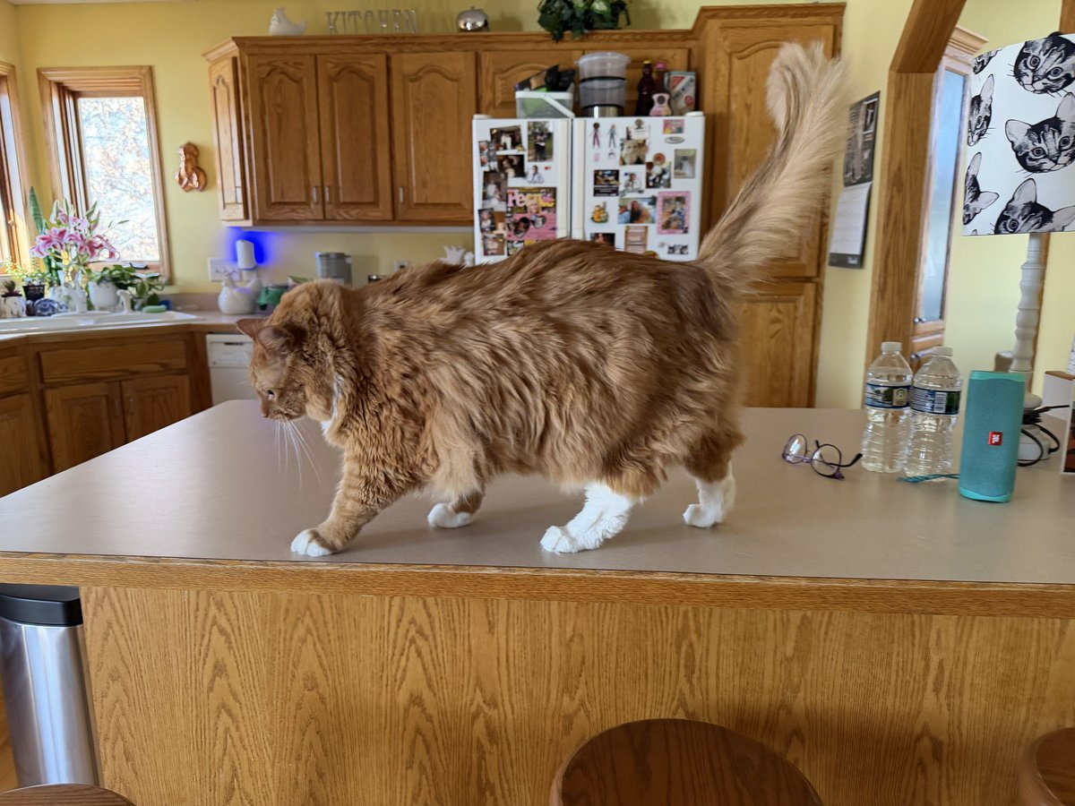 🐛🌷Dean🦋🪴 tweet media