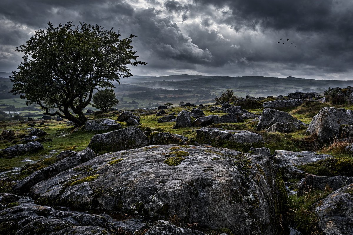 Dartmoor, Devon. A land of windswept, wide open moorland.

Granite tors rise from the earth like ancient sentinels, standing over miles of purple heather where wild horses roam beneath harsh winds and endless skies. This was once the western edge of the Anglo-Saxon kingdom of