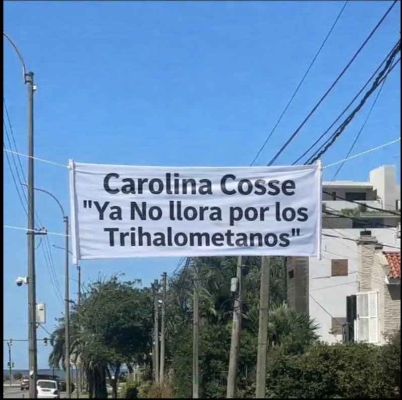 F86, ANTI FOCA, & LAZIS, YO NO LOS VOTE tweet media