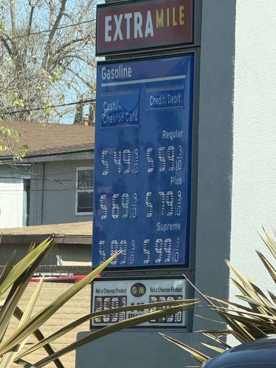 El Franky  tweet media