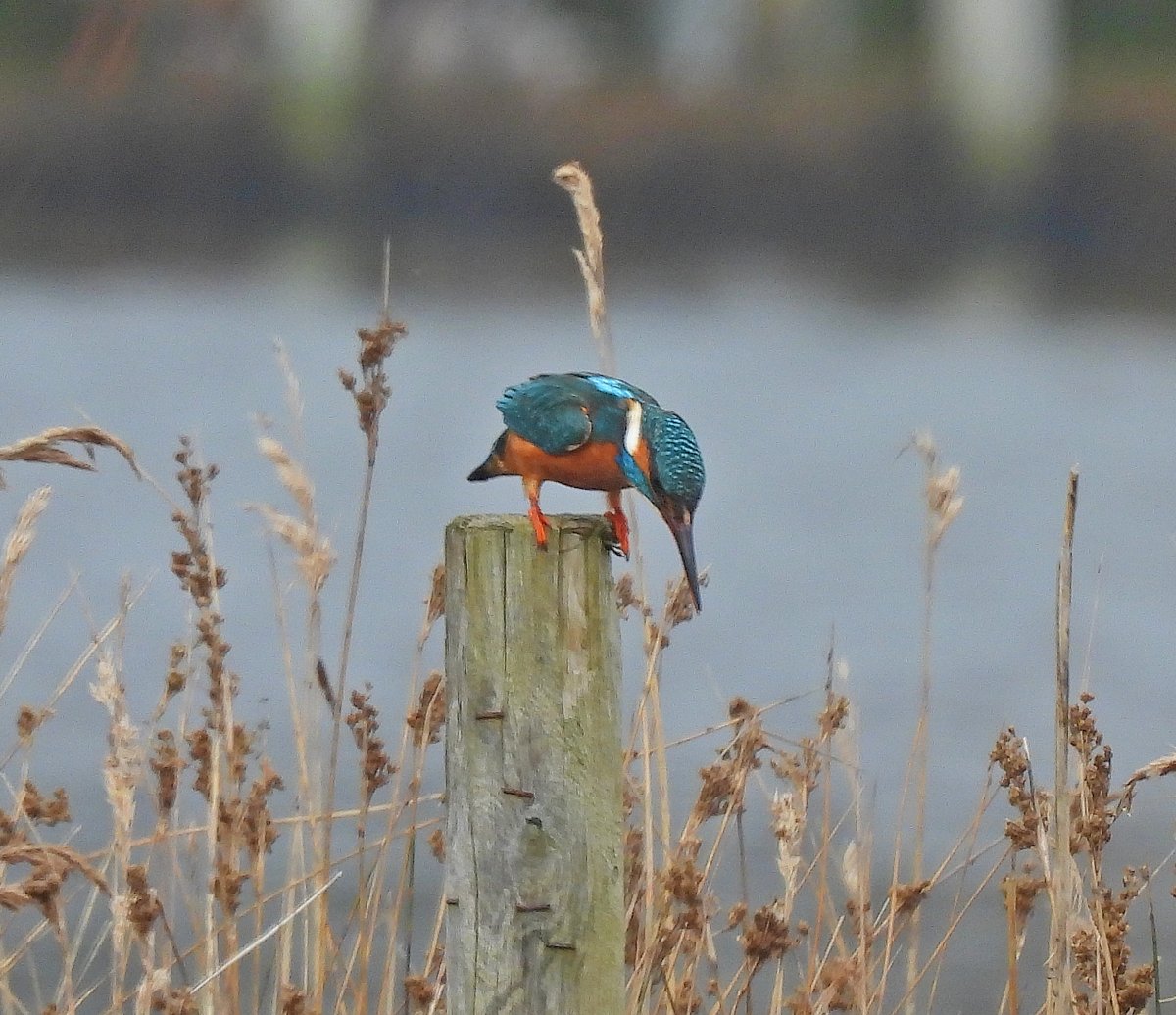 Clive Hargrave tweet media