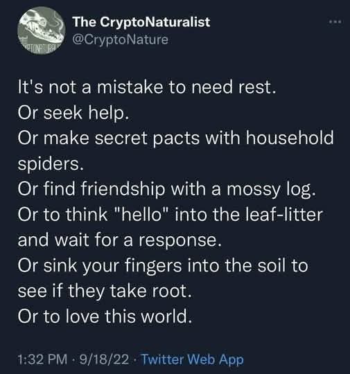 ##smallbeautieshour #becauseofClem #threadofgold