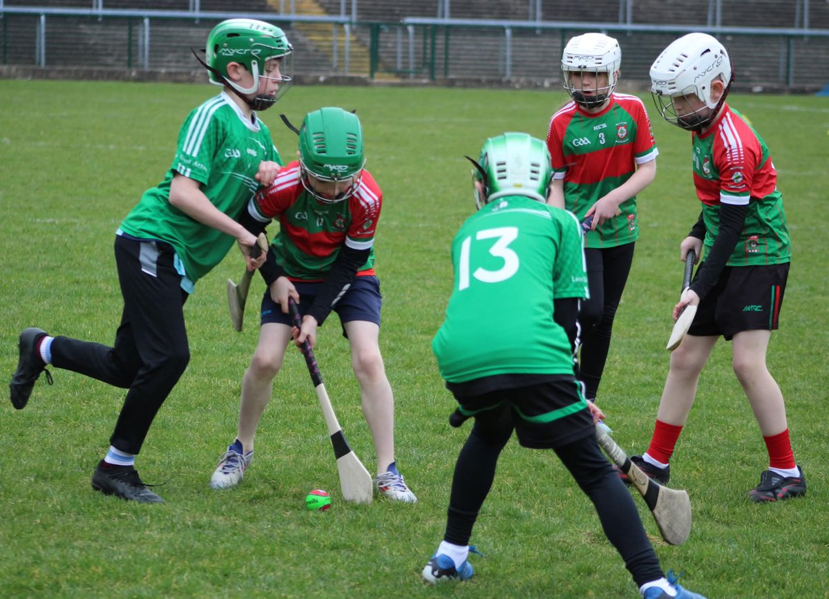 Fermanagh GAA tweet media