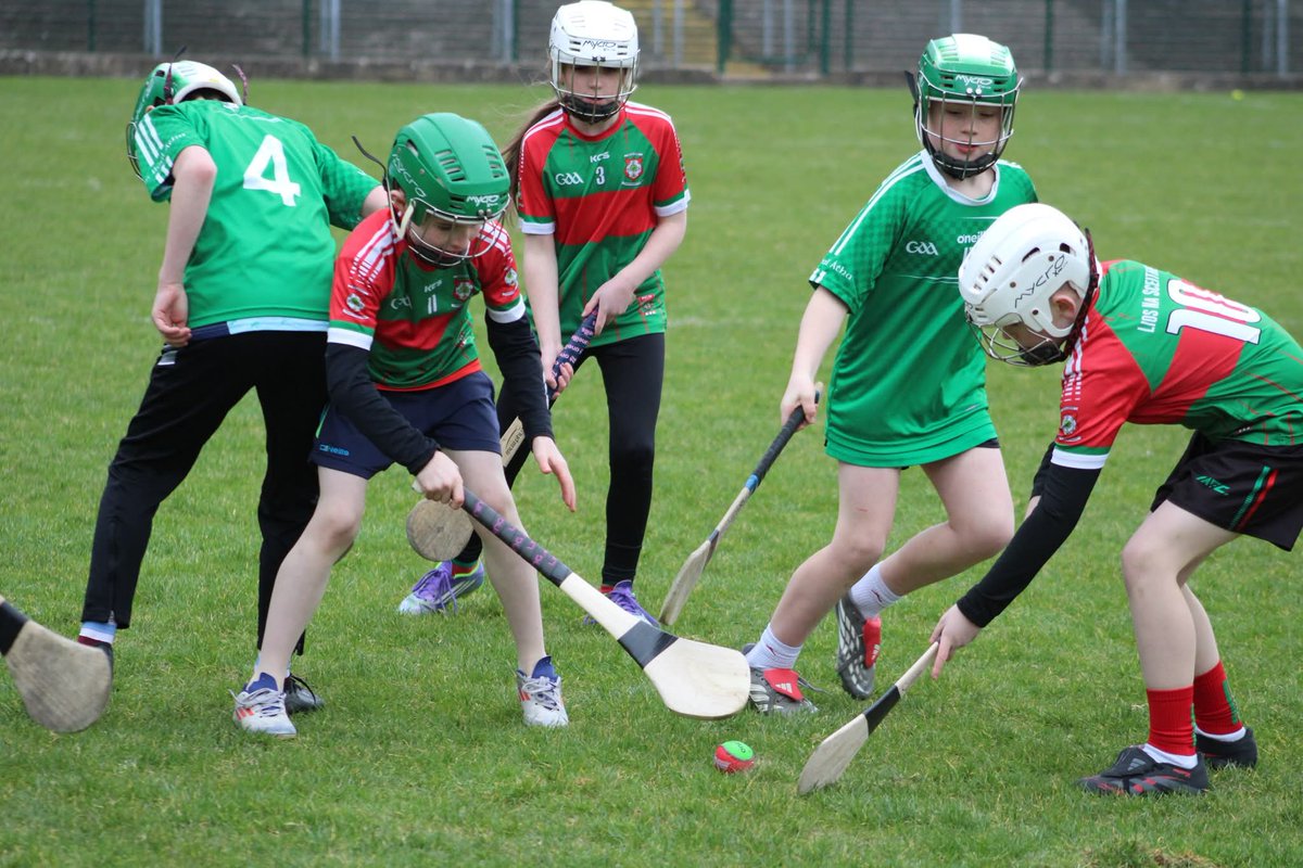 Fermanagh GAA tweet media
